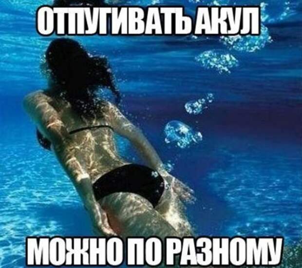 Анекдоты дня (12 шт)