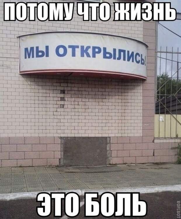 Фото, которые гарантированно поднимут вам настроение! Фото, которые гарантированно поднимут вам настроение! смешно, юмор
