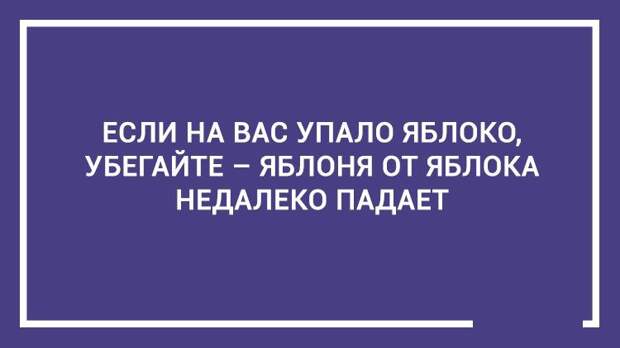 20 дельных советов — этому не учат в школе 20 дельных советов — этому не учат в школе открытка, совет, юмор