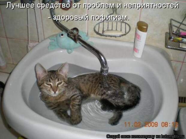 Котоматрица Котоматрица