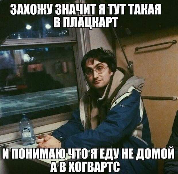 Смешные картинки с подписями катинки, прикол, юмор