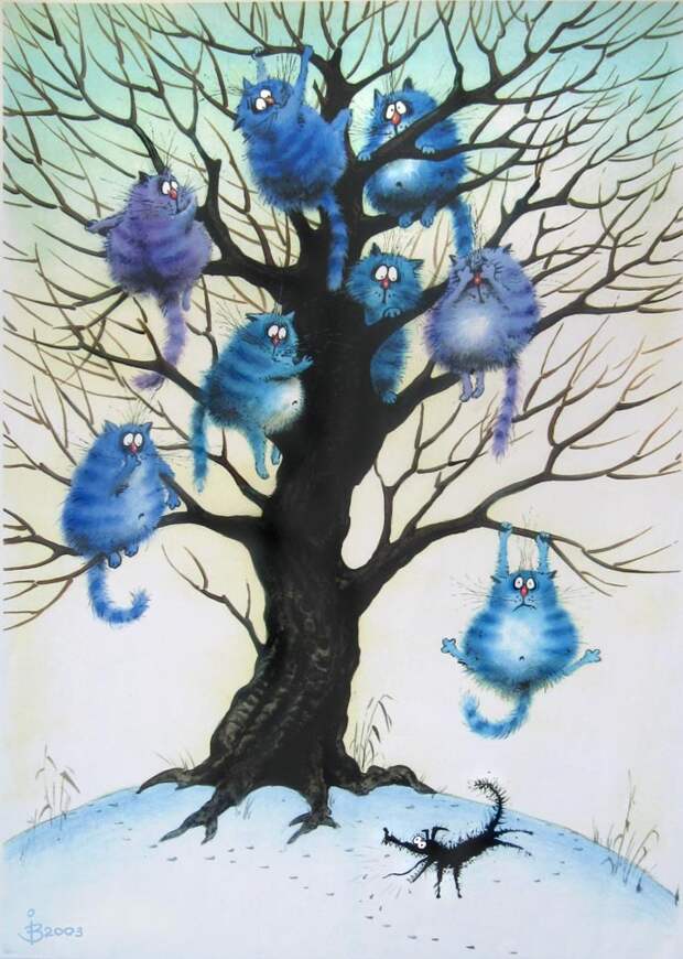 кошки кошки