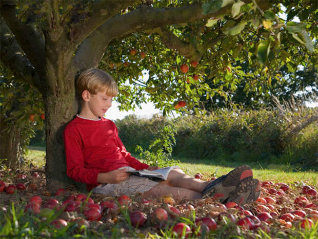 Этот мальчик каждый день приходил к яблоне. Но когда он вырос, случилось непоправимое...