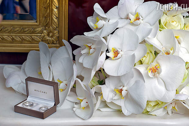 Жених и невеста выбрали обручальные кольца BVLGARI Жених и невеста выбрали обручальные кольца BVLGARI