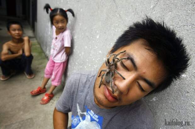 Необычные домашние животные (55 фото) Необычные домашние животные (55 фото)