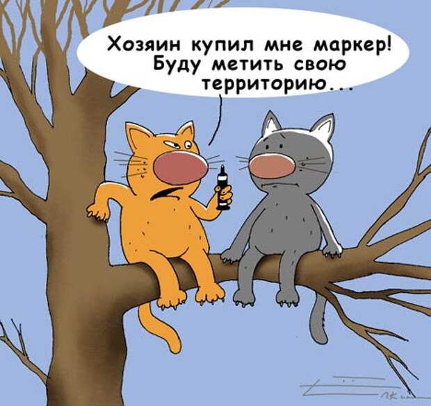 Давайте улыбаться вместе! :)