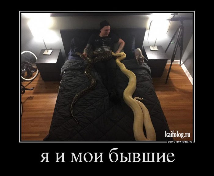 Смешные демотиваторы - 252 (55 демотиваторов)