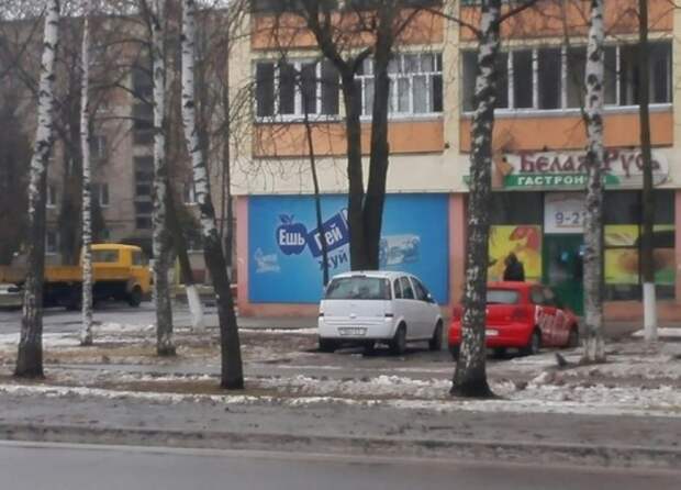 забавные фото сделанные в нужный момент