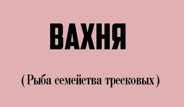 12 странных слов, которые и правда есть в русском языке (12 фото)