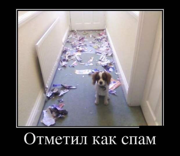 Демотиваторы (30 фото)