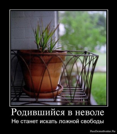демотиваторы смысловые