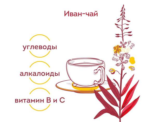В случае простуды хорошо помогает известный травяной чай