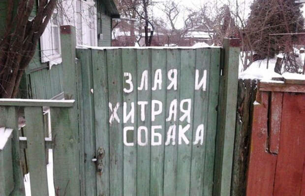 Звучит убедительно: 20 остроумных табличек собака, табличка, юмор