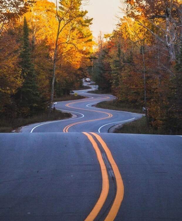 Фотоподборка