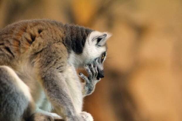 Давайте улыбаться вместе! :) (31повод)