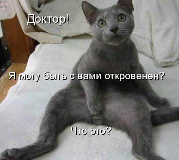 Кото матрица 7