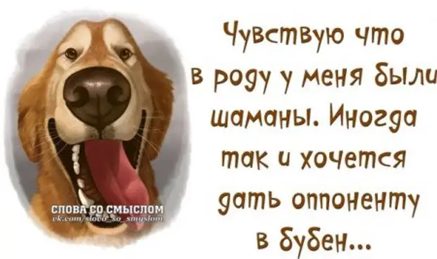 Ничто так не сближает людей как смех и грех картинки