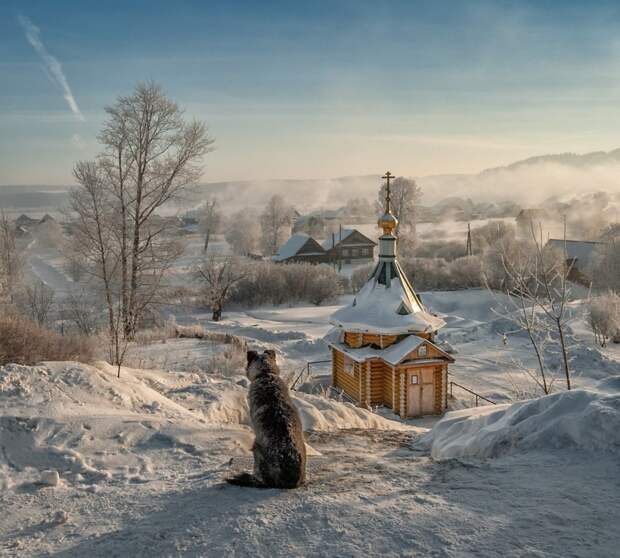 Лучшие фотографии месяца! интересное, фото