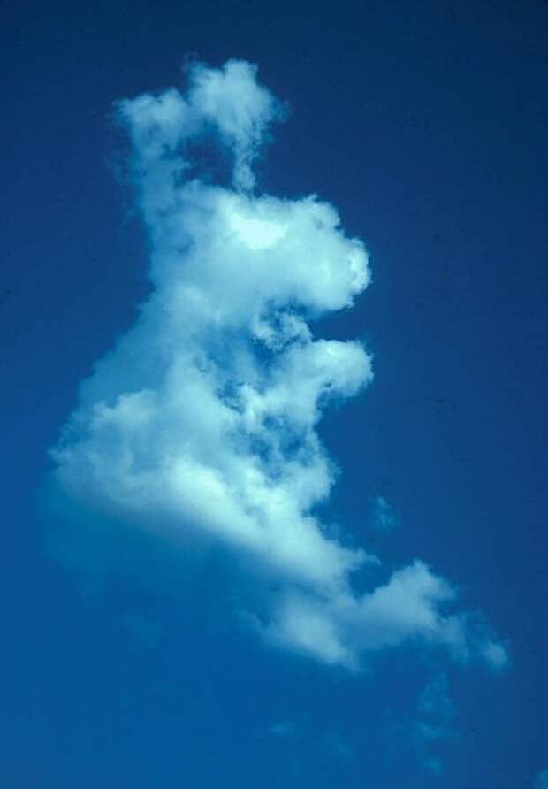 Облако кролик