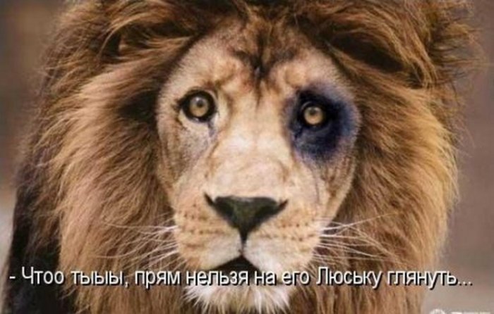 Давайте улыбаться вместе :)