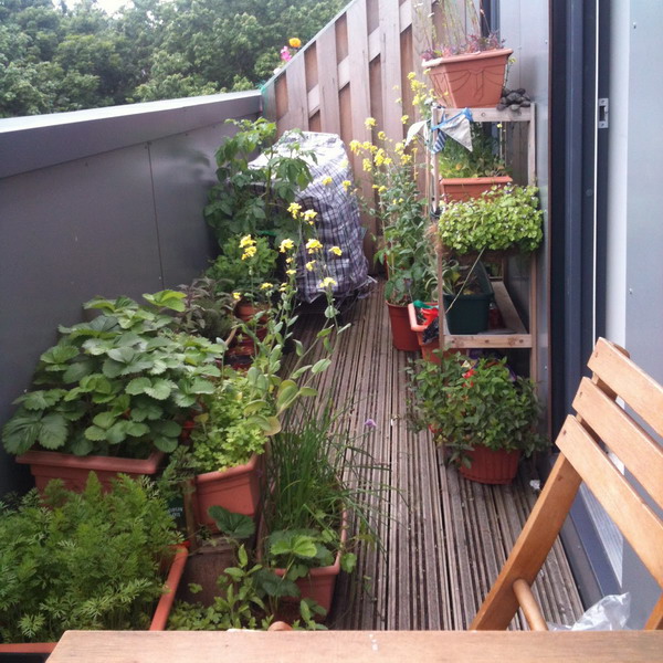 flowers-on-balcony1-13