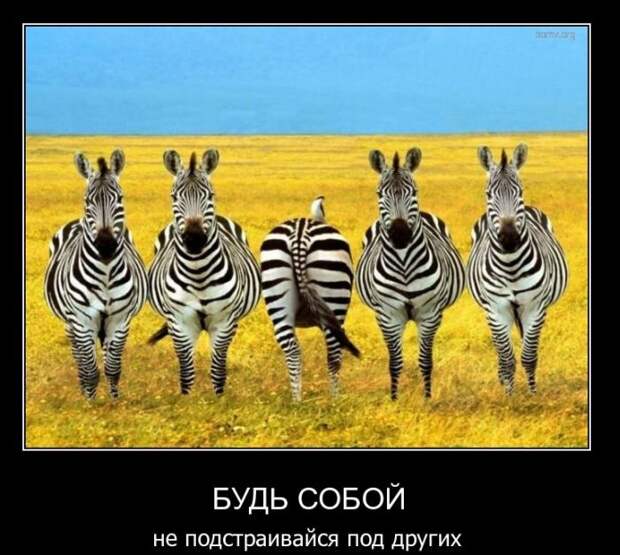 Демотиваторы (45 фото) Демотиваторы (45 фото)
