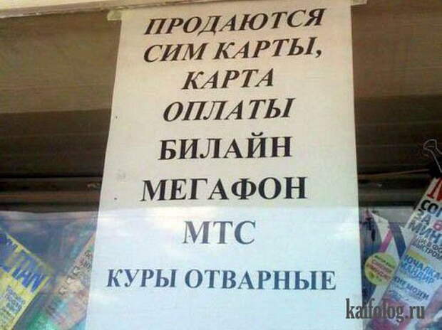 Объявления и надписи по-русски (50 фото)