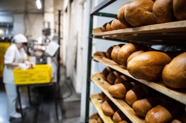 Эксперт Кацнельсон опроверг слухи о подорожании хлеба из-за нового ГОСТ