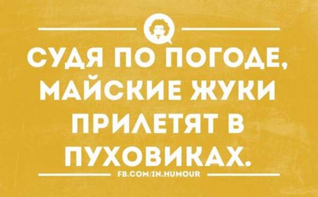 Прикольные картинки (39 шт)
