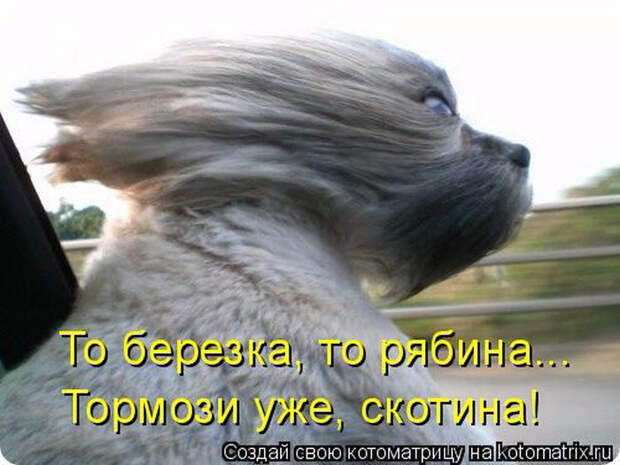 1429216204_02 (700x525, 276Kb)