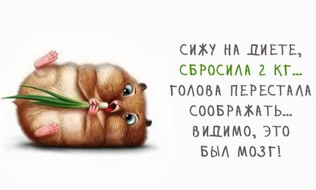 Подборка для хорошего настроения и развития «философских» взглядов история, прикол, факты, юмор