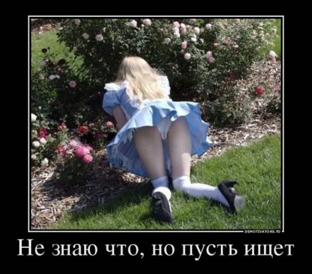 Новые демотиваторы-приколы (17 шт)