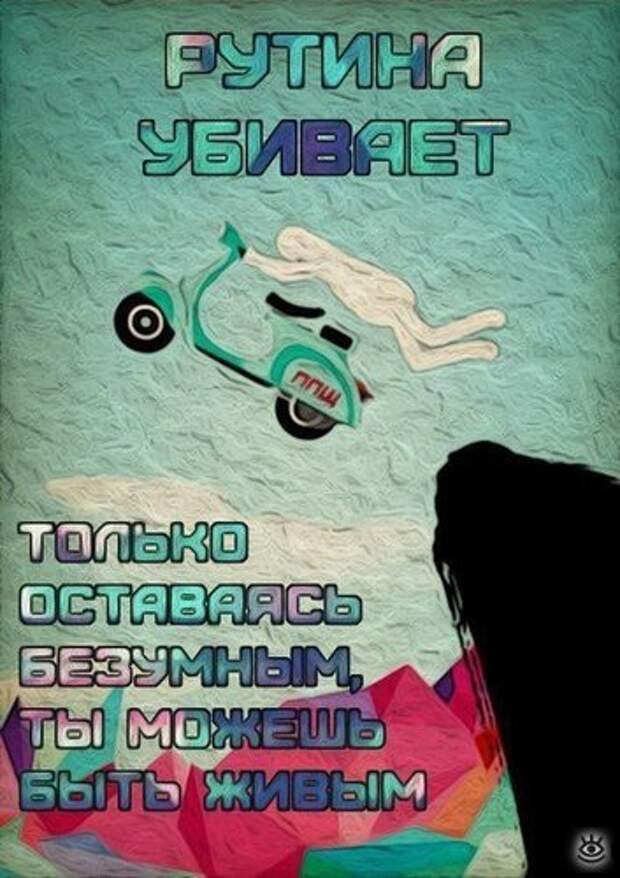 Безумные весёлости с людьми и животными 29