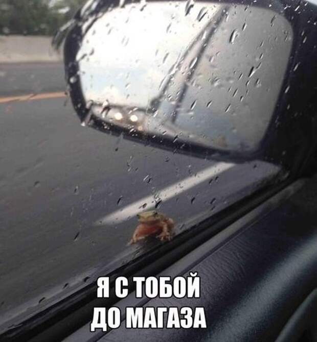 Подборка автоприколов. Часть 225 Подборка автоприколов. Часть 225 авто, автоприколы, приколы