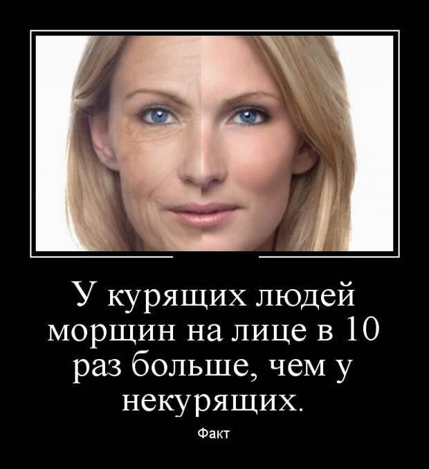 Демотиваторы (30 фото)