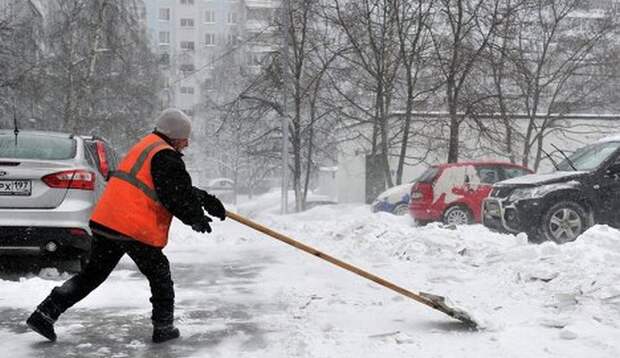 соседи