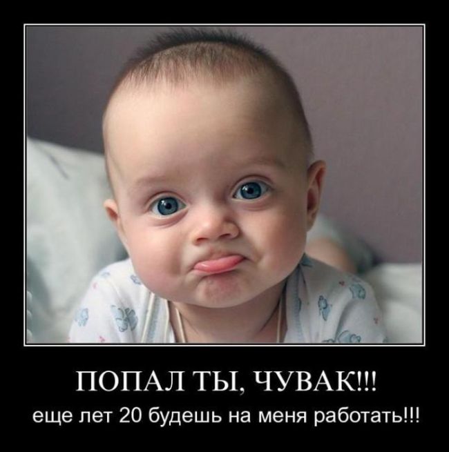 Пятничная подборка демотиваторов демотиватор, юмор