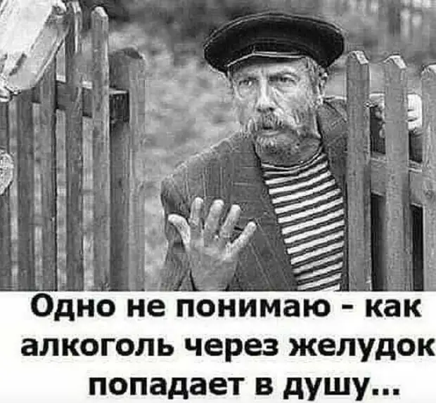 Самое полезное животное - это свинья. От неё можно использовать абсолютно всё...