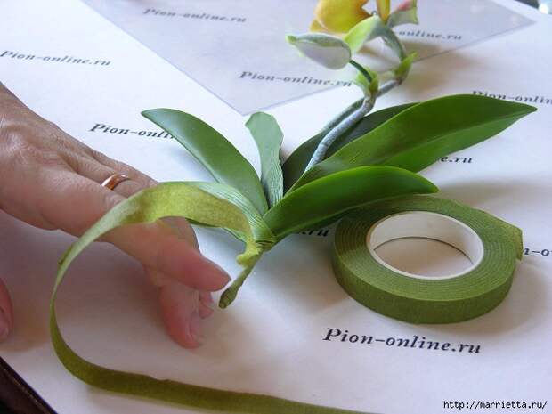 Орхидея Леди Слиппер из полимерной глины. Мастер-класс (95) (640x480, 177Kb)