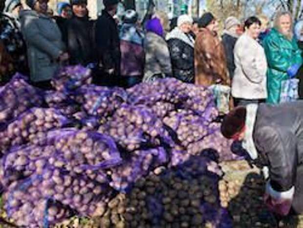 Новость на Newsland: Малоимущим россиянам выдадут продуктовые карточки
