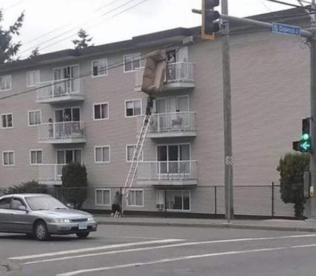 Дураки вокруг нас (22 фото)