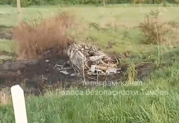 В Тамбовской области легковушка улетела в кювет и полностью сгорела