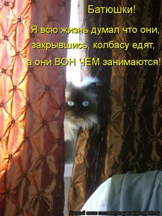 Лучшие котоматрицы недели