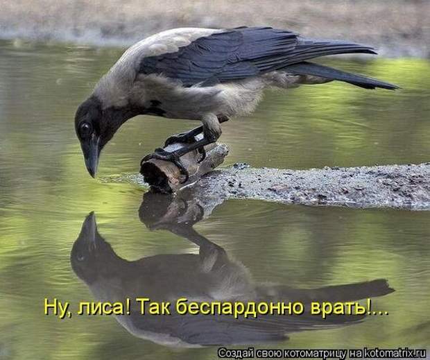 600x720-017c87ec01fa55f172710fedce0613d5_103348 (600x503, 163Kb)