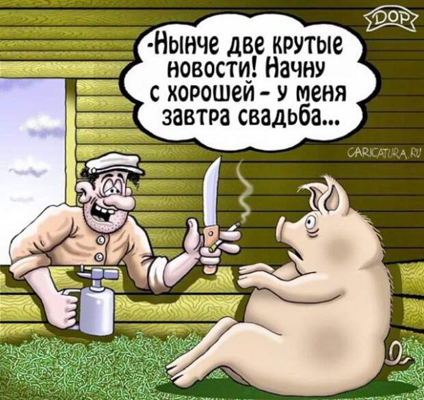 Карикатуры