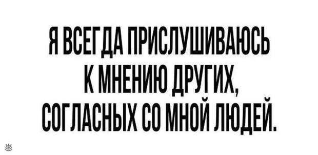 Яркие и забавные фото 35