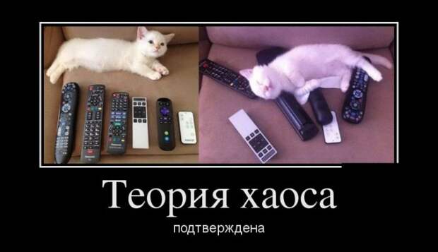 Демотиваторы (30 фото) Демотиваторы (30 фото)