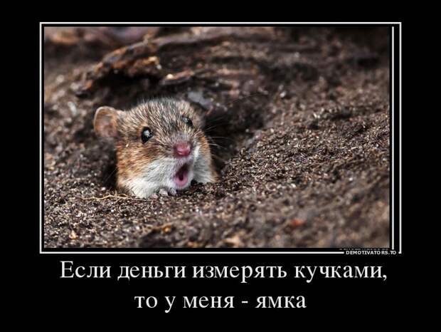 Демотиваторы демотиваторы, прикол, смех, юмор