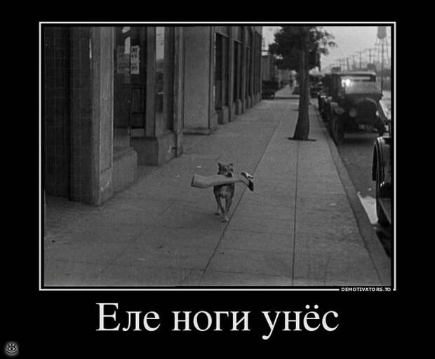 Бабье лето прошло! 18