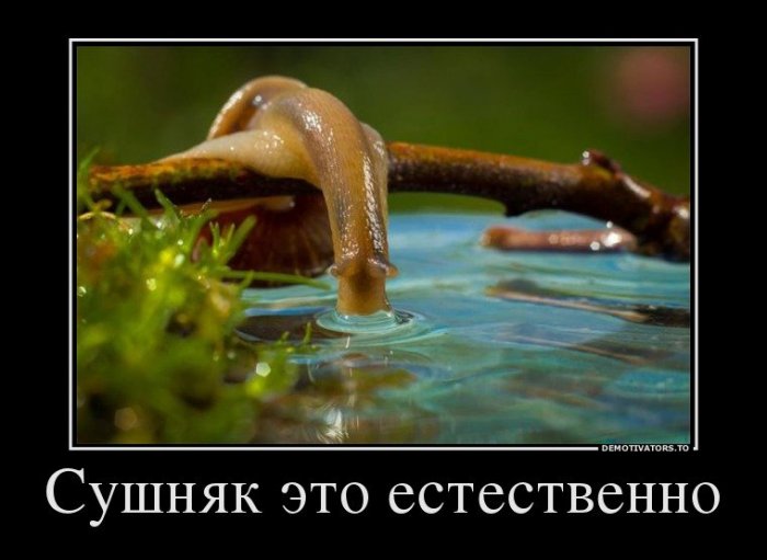 Прикольные демотиваторы